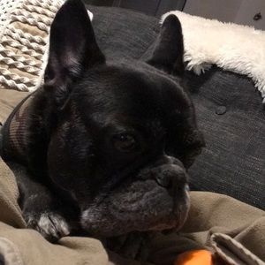 Meet your Posher, Jon